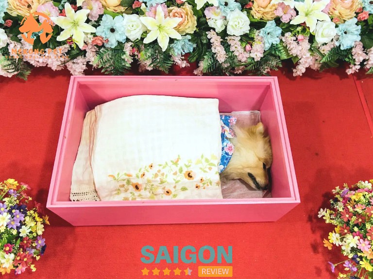 Dịch Vụ Hỏa Táng Thú Cưng Chó Mèo Trọn Gói Tại TP.HCM